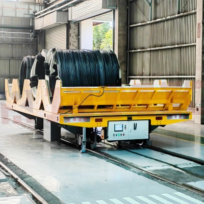 10 ton anpassade V-ram automatiserade RGV